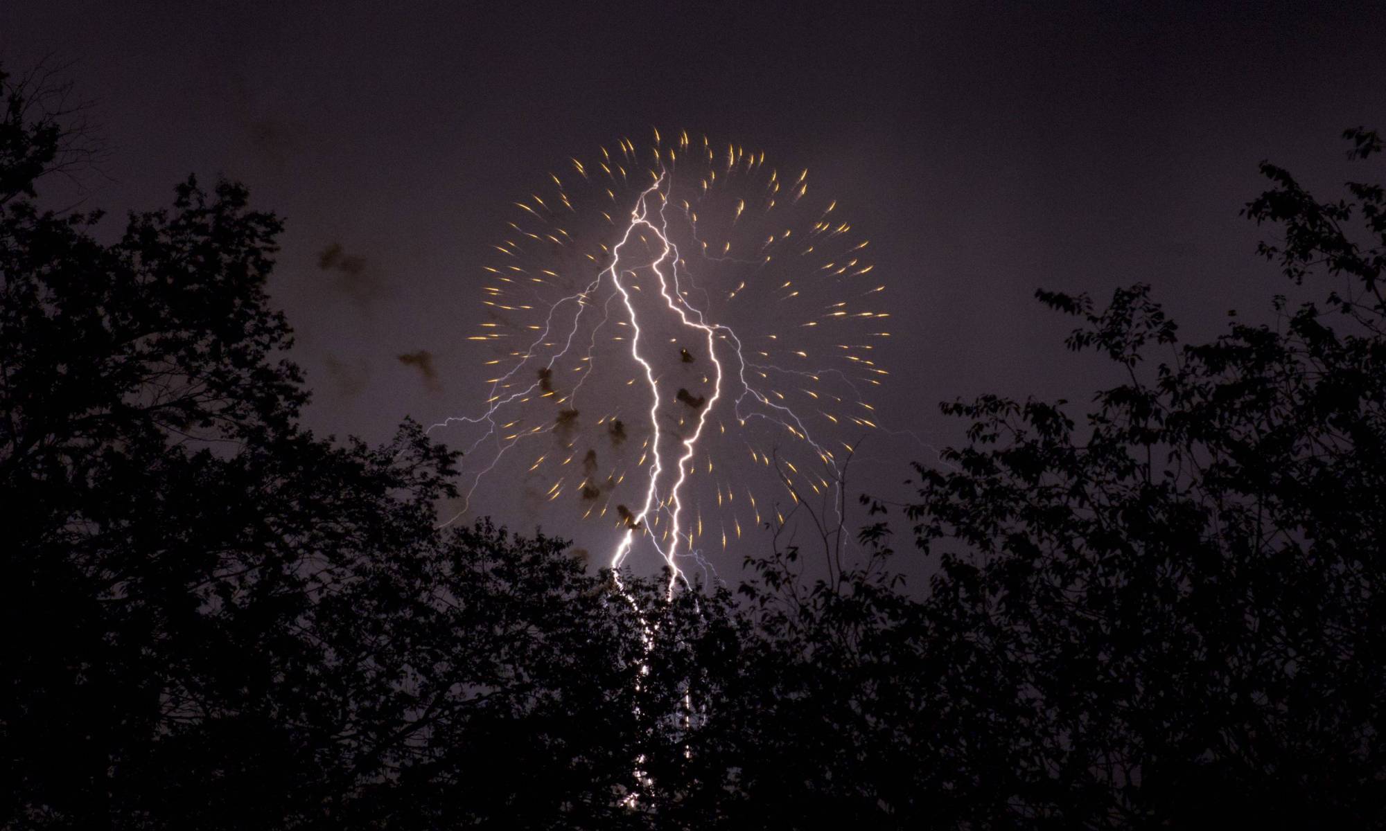 One of the best pictures I will ever take...